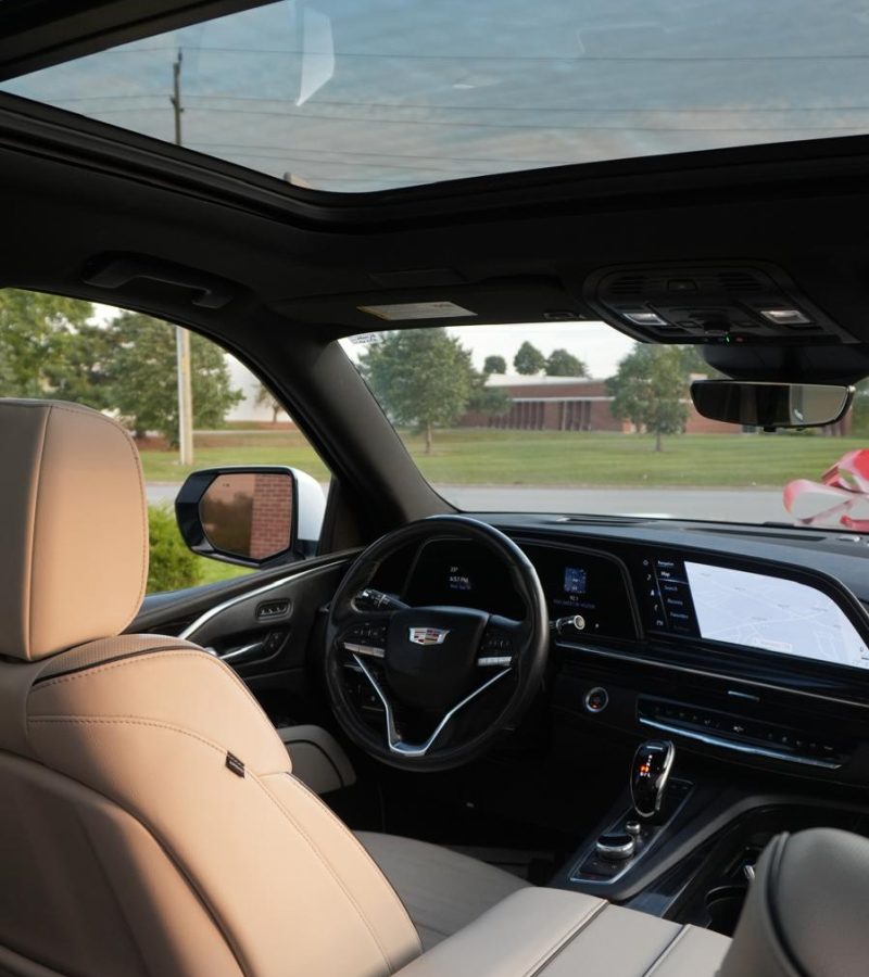 WhatsApp Image 2026-02-03 at 1.58.53 PM (2)