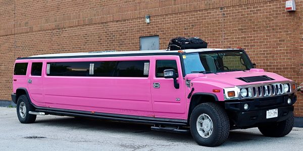 WhatsApp Image 2026-02-03 at 1.58.55 PM